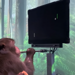 The future is here: the monkey played Pong with the power of thought