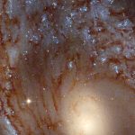 Get a close-up view of the barred spiral galaxy