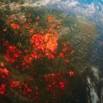 Why is warming even by 1.5 degrees dangerous? Explaining what awaits Russia and the world