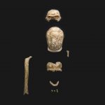 Les archéologues ont découvert les restes de 9 Néandertaliens près de Rome