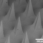 Microneedle patch will cure skin diseases caused by Staphylococcus aureus