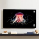OnePlus launches OnePlus TV U1S line of 4K screens from 50 to 65 inches, 30W Dynaudio speakers and Android 10