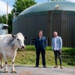 Fermierul britanic extrage Ethereum folosind energie din procesarea gunoiului de grajd
