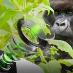 Corning unveils Gorilla Glass DX and DX +: protective glasses for smartphone cameras