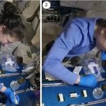 Astronauts show CRISPR / Cas9 genome editing in space