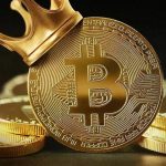 Bitcoin has risen in price to $ 43 800 - so expensive cryptocurrency cost only in the spring