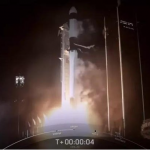 SpaceX sent ants, avocado and robot to the space station