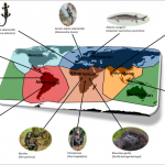 Scientists have named the regions that will be hardest hit by the extinction of species