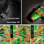 Мягкий робот-хамелеон меняет цвет в реальном времени в соответствии с фоном