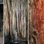 شاهد المزيد من الفن الصخري لإنسان نياندرتال الذي يبلغ عمره 60 ألف عام