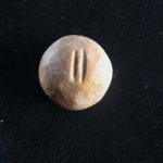 A special weight for deceiving buyers: an unusual artifact was discovered in Israel