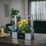 The new mini greenhouse controls the temperature, watering and fertilizing the plants itself