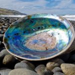 The structure of sea shells could form the basis of safety glass for smartphones