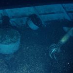 Biologists accidentally photographed a giant squid and a sunken ship