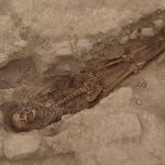 In Peru, archaeologists have discovered 29 skeletons in the tomb of the ancient huari civilization