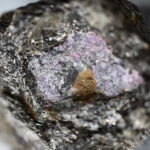 Traces of ancient life found inside a ruby ​​2.5 billion years old