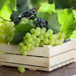 Grapes have proven to be very good for the intestines