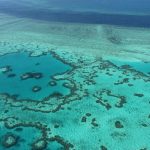 The Great Barrier Reef has almost completely lost its color due to rising ocean temperatures.