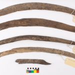 Archaeologists have found a strange weapon of Australian aborigines