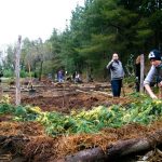 Wie Community Farming zur Bekämpfung des Klimawandels beitragen kann