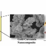 Curcumin increased the energy efficiency of a fuel cell by 100 times