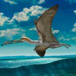 A găsit un grup de fosile de pterozauri: erau șopârle zburătoare cu dinți
