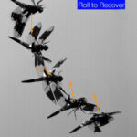 Scientists have learned how dragonflies get out of a “steep dive” in milliseconds