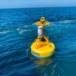 Robotic buoys track whales in real time