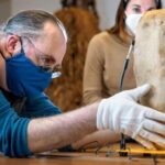 Ancient Egyptian hawk mummy turns out to be sacred ibis
