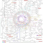 The neural network has learned to create more than 300 drugs from chemical waste