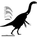 Scientists understand why vegan dinosaurs have huge claws