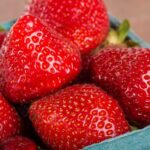 Strawberries were able to normalize blood sugar