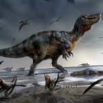 Europe's largest carnivorous dinosaur found