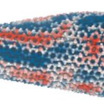 Supercomputer reveals the weaknesses of HIV