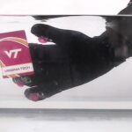 Ein Handschuh, der Tintenfischtentakel imitiert, wurde entwickelt