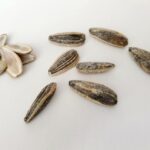 What are the benefits of sunflower seeds