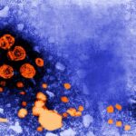 Cases of hepatitis of unknown origin are on the rise: how to detect and treat it in time
