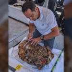 Look at the huge head of Hercules, which was found on a sunken Roman ship