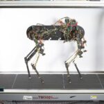Robotic dog learned to walk on its own in just an hour