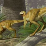 ديناصور صغير "تحول" إلى جوهرة. يبلغ من العمر حوالي 100 مليون سنة
