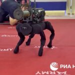 In Russia showed a robot dog with a grenade launcher