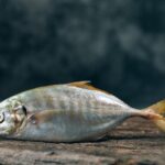 Mutated eye helps understand cell death