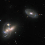 انظر إلى تنوع أشكال المجرات في صورة جديدة من تلسكوب هابل الفضائي