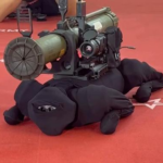 لم تبيع شركة Unitree Robotics روبوت Go1 إلى روسيا ، حيث تم تثبيت قاذفة قنابل يدوية ، تقدر تكلفتها بـ 16000 دولار.