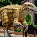Scientists have found a sign of dinosaurs in birds