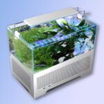 2 in 1: a computer case with a complete aquarium for fish was released in China
