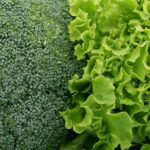 Here's Why You Need to Eat Green Vegetables for Gut Health