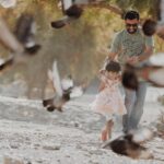 Why People Really Underestimate Pigeons