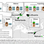 The ancient Vikings suffered from a dangerous disease. It is caused by a parasite from Africa