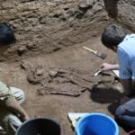 It turns out that people successfully performed medical operations as early as 31,000 years ago.